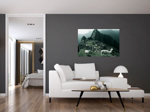 Slika - Plamen u Machu Picchuu u Peruu (90x60 cm)