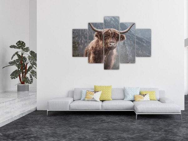 Slika - Highlander krava (150x105 cm)