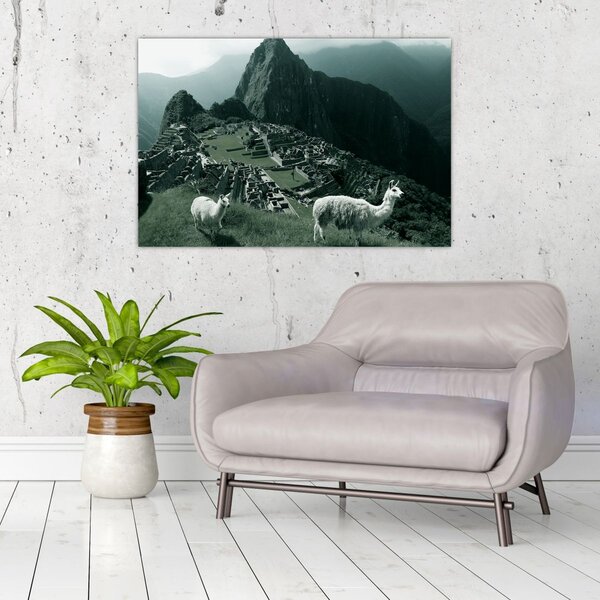 Slika - Plamen u Machu Picchuu u Peruu (90x60 cm)