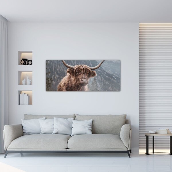 Slika - Highlander krava (120x50 cm)