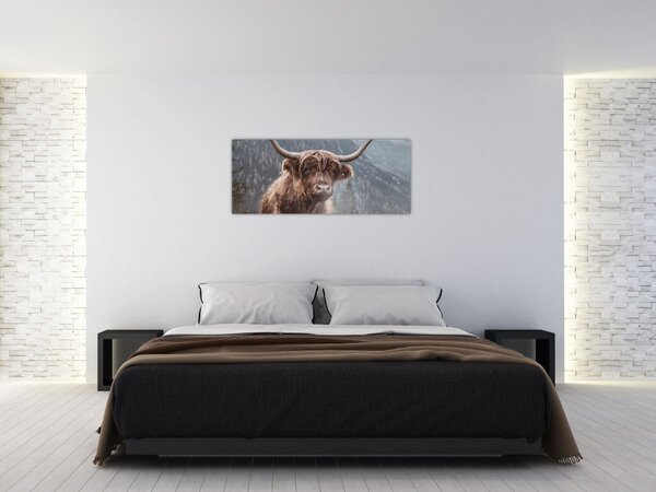 Slika - Highlander krava (120x50 cm)