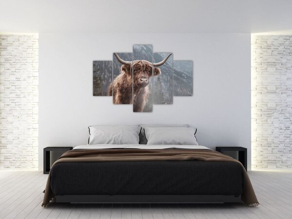 Slika - Highlander krava (150x105 cm)