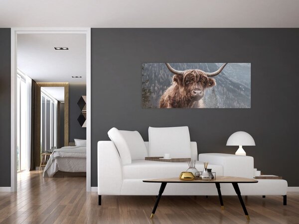 Slika - Highlander krava (120x50 cm)