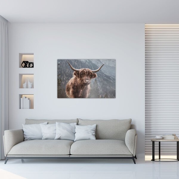 Slika - Highlander krava (90x60 cm)
