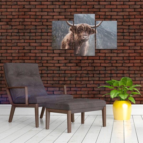 Slika - Highlander krava (90x60 cm)