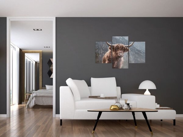 Slika - Highlander krava (90x60 cm)