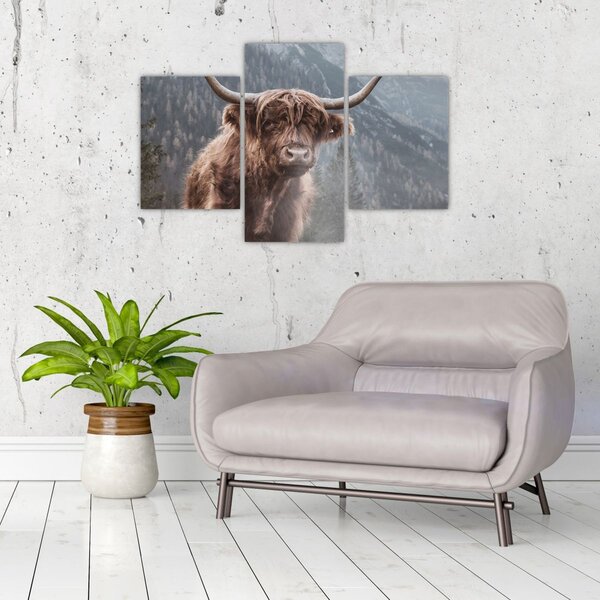 Slika - Highlander krava (90x60 cm)