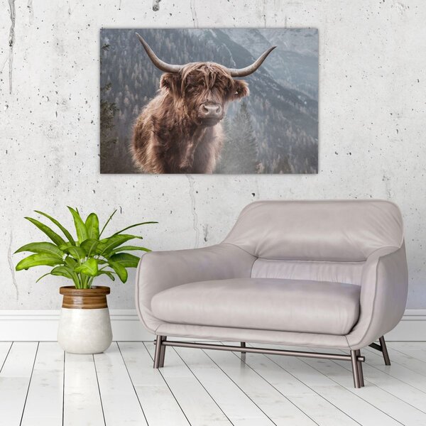 Slika - Highlander krava (90x60 cm)