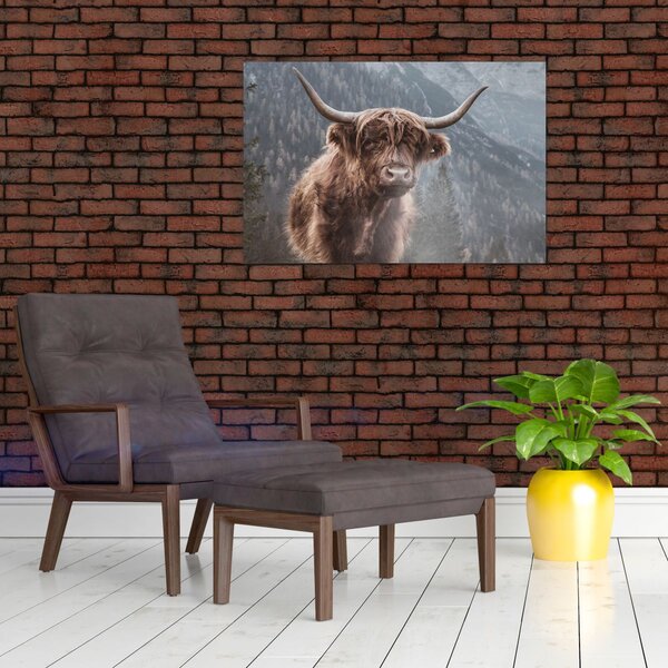 Slika - Highlander krava (90x60 cm)