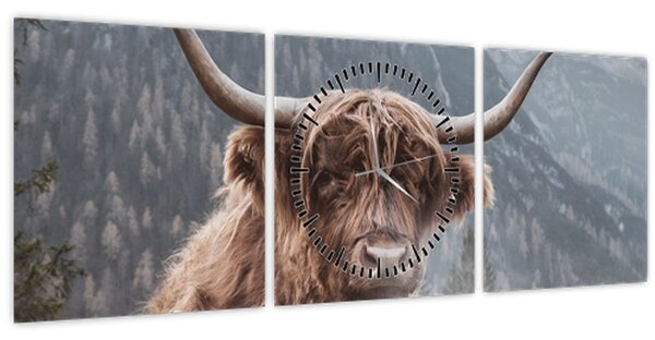 Slika - Highlander krava (sa satom) (90x30 cm)