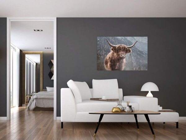 Slika - Highlander krava (90x60 cm)
