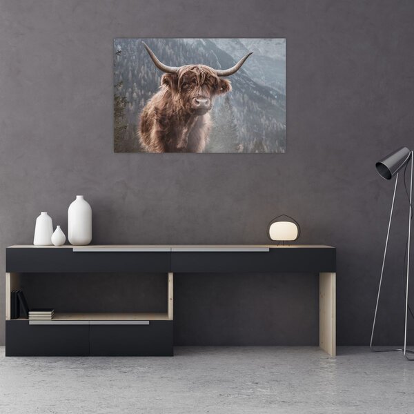 Slika - Highlander krava (90x60 cm)