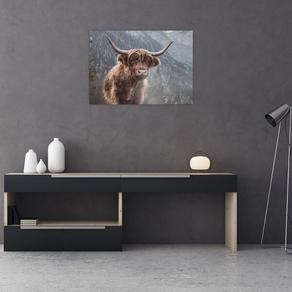 Slika - Highlander krava (70x50 cm)