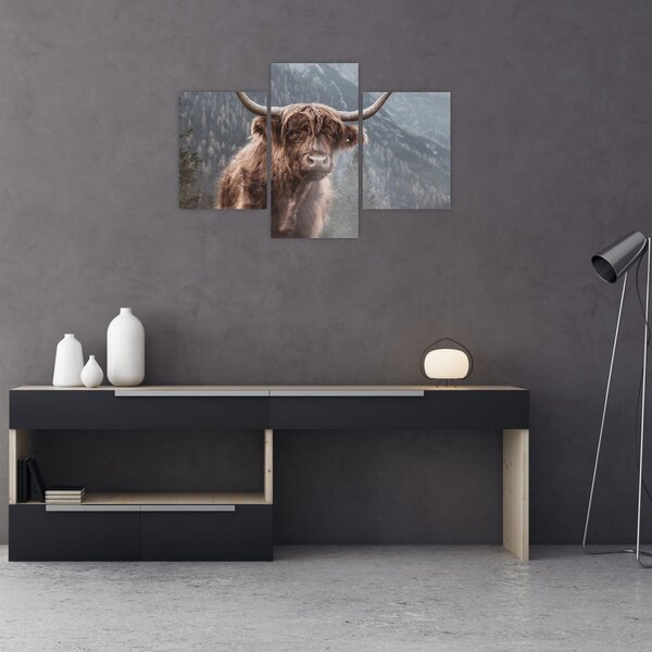 Slika - Highlander krava (90x60 cm)