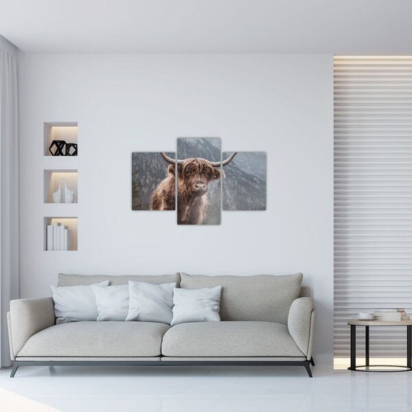 Slika - Highlander krava (90x60 cm)