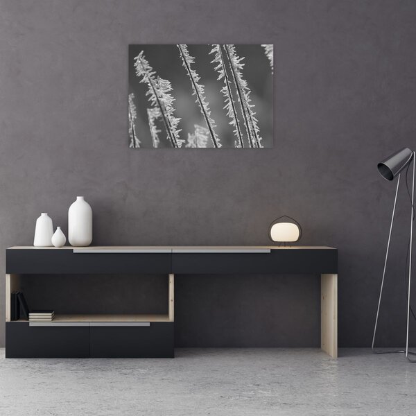 Slika - Ledeno hladno (70x50 cm)