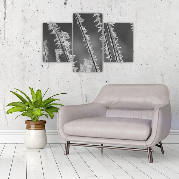 Slika - Ledeno hladno (90x60 cm)