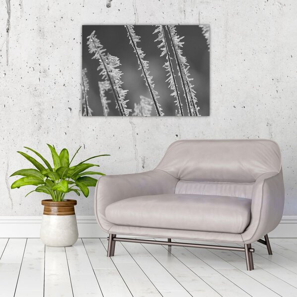 Slika - Ledeno hladno (70x50 cm)