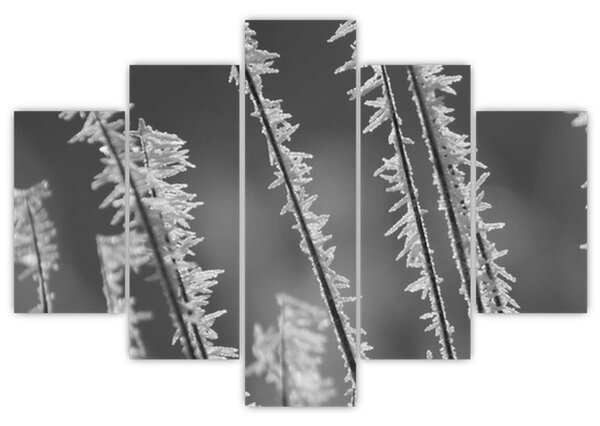 Slika - Ledeno hladno (150x105 cm)