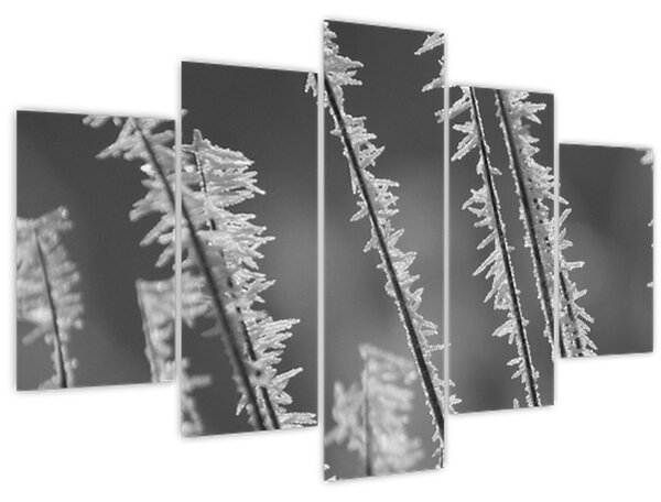 Slika - Ledeno hladno (150x105 cm)