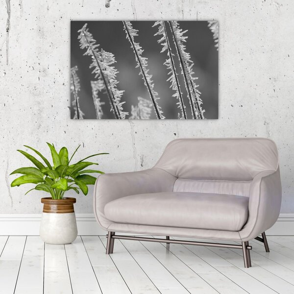 Slika - Ledeno hladno (90x60 cm)