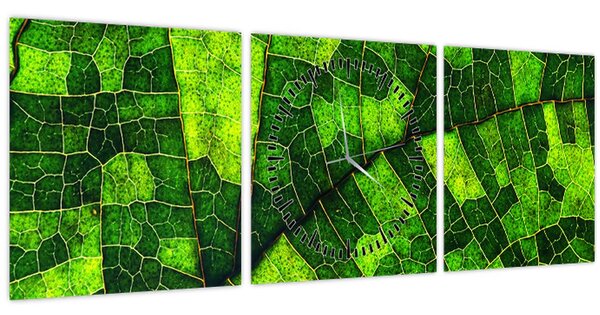 Slika - Detalj lista (sa satom) (90x30 cm)