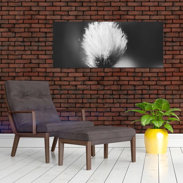Slika - Crno-bijela pamučna trava (120x50 cm)