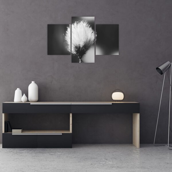 Slika - Crno-bijela pamučna trava (90x60 cm)