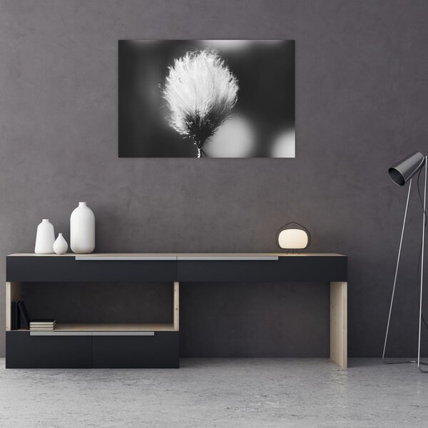 Slika - Crno-bijela pamučna trava (90x60 cm)