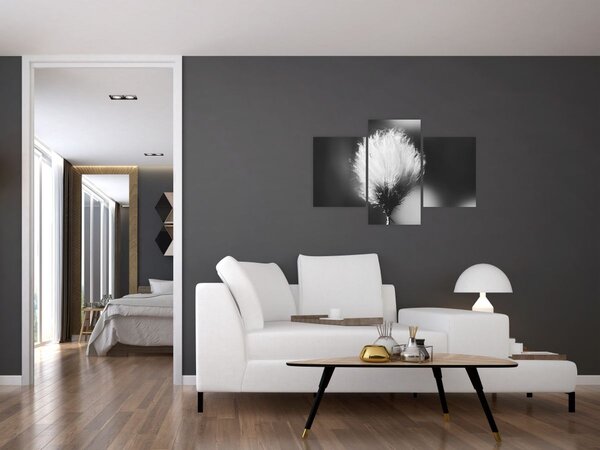 Slika - Crno-bijela pamučna trava (90x60 cm)