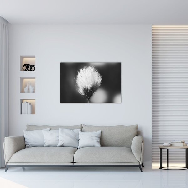Slika - Crno-bijela pamučna trava (90x60 cm)
