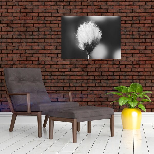 Slika - Crno-bijela pamučna trava (70x50 cm)