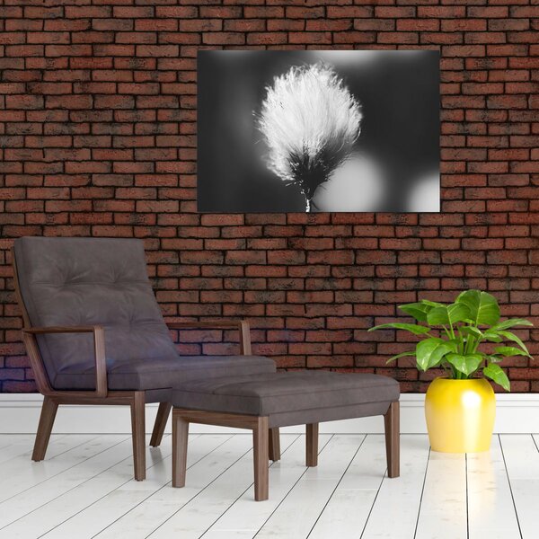 Slika - Crno-bijela pamučna trava (90x60 cm)