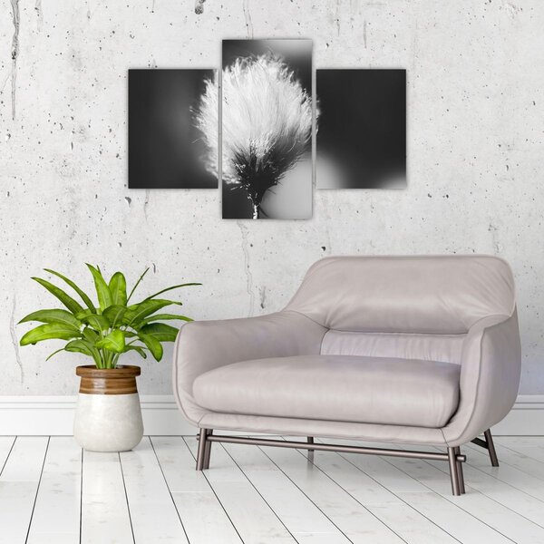 Slika - Crno-bijela pamučna trava (90x60 cm)