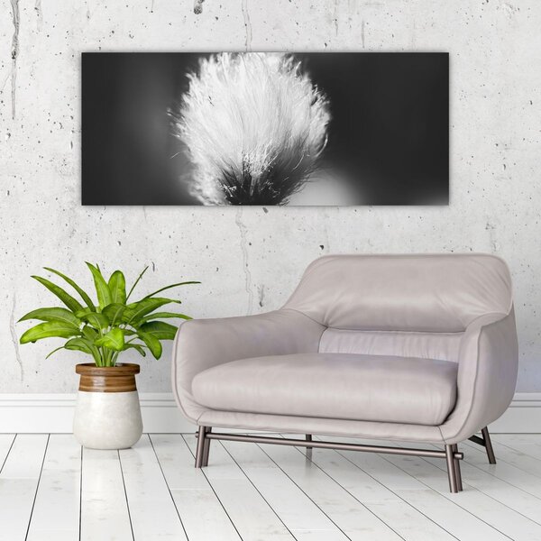 Slika - Crno-bijela pamučna trava (120x50 cm)