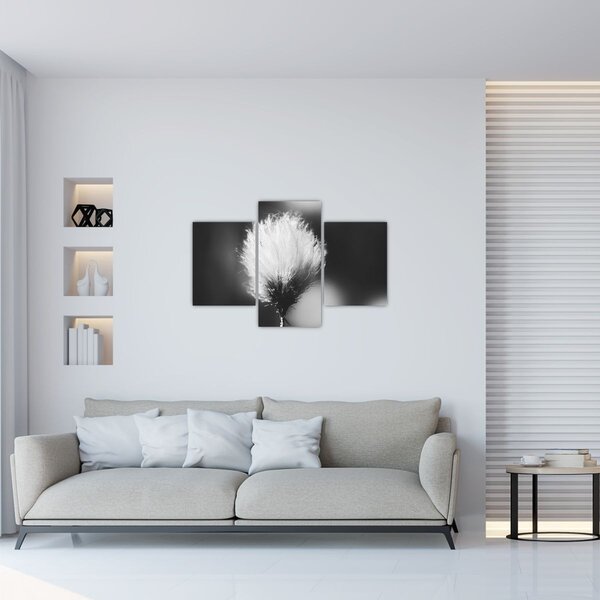 Slika - Crno-bijela pamučna trava (90x60 cm)