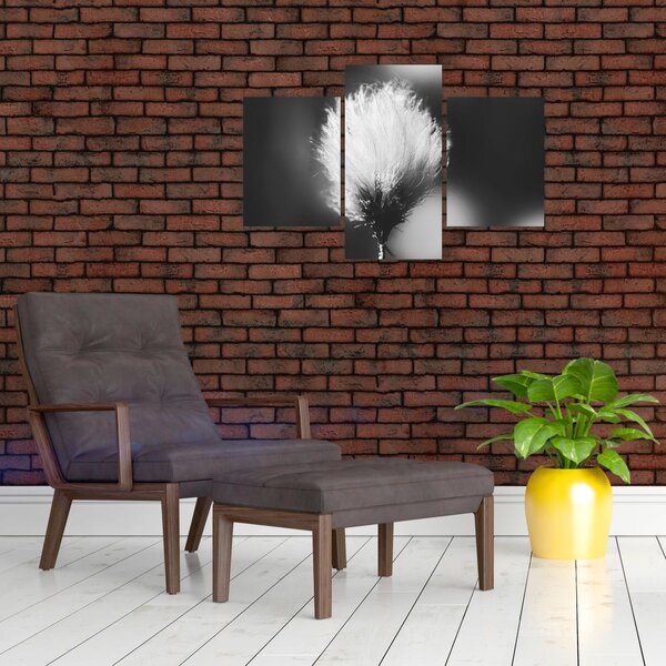 Slika - Crno-bijela pamučna trava (90x60 cm)