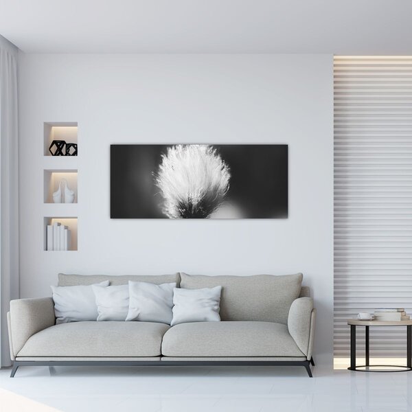 Slika - Crno-bijela pamučna trava (120x50 cm)