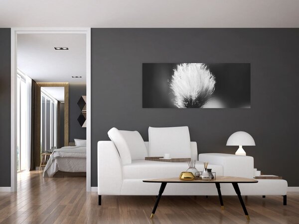 Slika - Crno-bijela pamučna trava (120x50 cm)