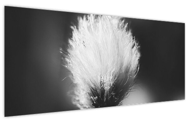 Slika - Crno-bijela pamučna trava (120x50 cm)