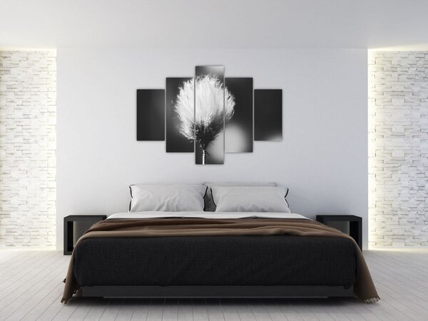 Slika - Crno-bijela pamučna trava (150x105 cm)