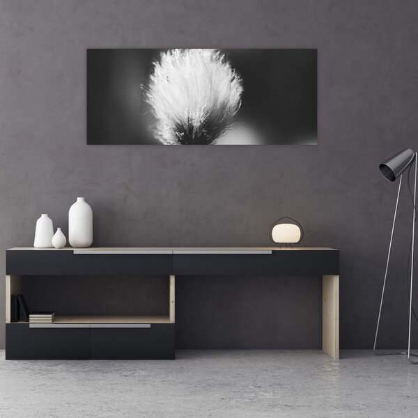 Slika - Crno-bijela pamučna trava (120x50 cm)