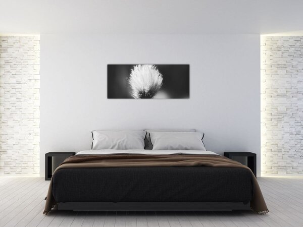 Slika - Crno-bijela pamučna trava (120x50 cm)