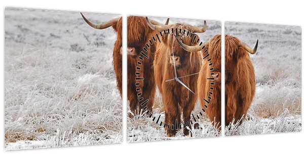 Slika - Škotske krave (sa satom) (90x30 cm)