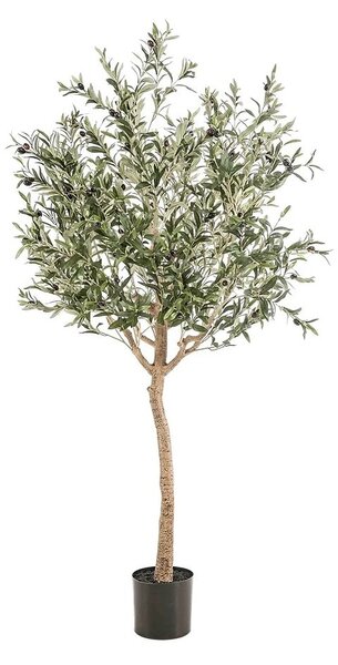 Umjetna maslina 180 cm u tegli - 151 - 180 cm