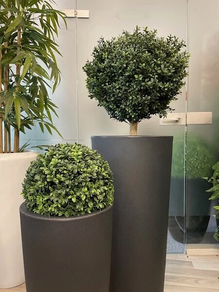 Umjetni šimšir na stabljici 65 cm UV - 51 - 70 cm - 31 do 50cm