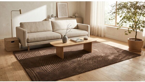 Smeđi tepih 120x170 cm Zephyr – ESTE