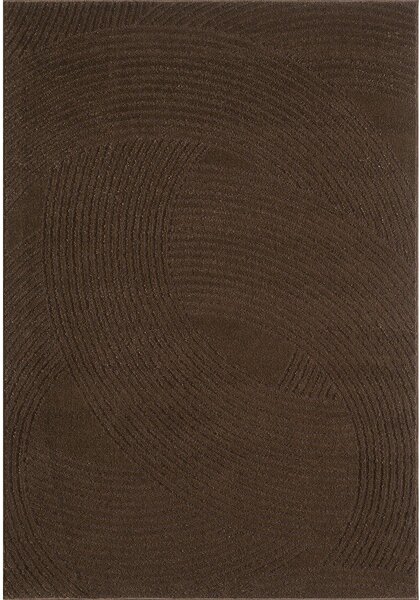 Smeđi tepih 120x170 cm Zephyr – ESTE