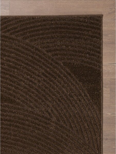 Smeđi tepih 120x170 cm Zephyr – ESTE
