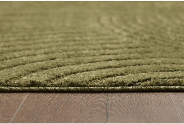 Tamno zeleni tepih 120x170 cm Whirl – ESTE